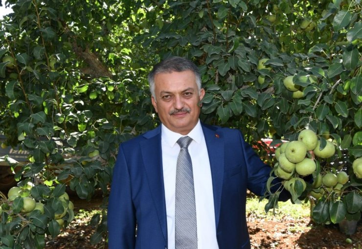 Vali Yazıcı’dan, Korkuteli’de Karyağdı Armudu hasadı