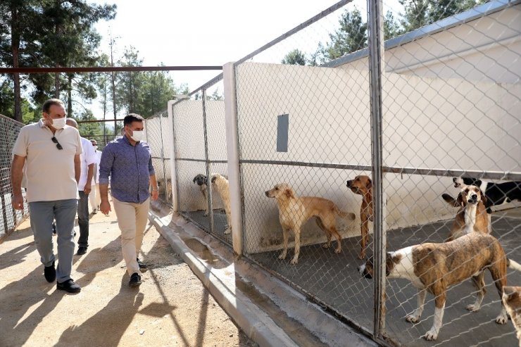 Başkan Yücel, 4 Ekim Hayvanları Koruma Günü’nde anlamlı ziyaret