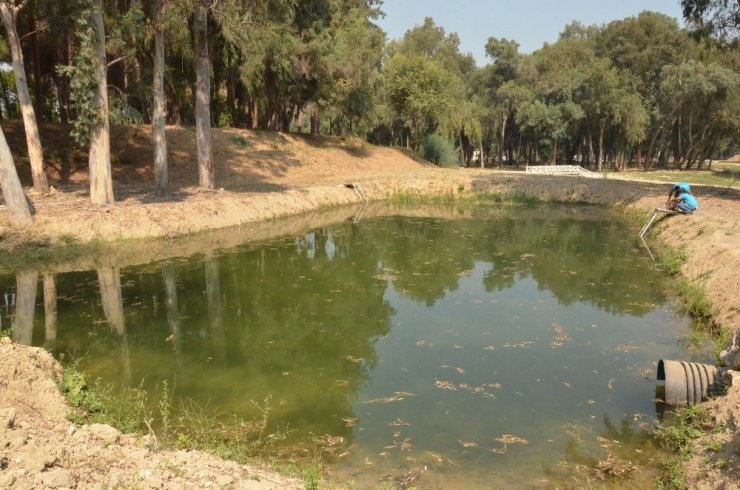 Mersin’de sivrisinekle biyolojik mücadele