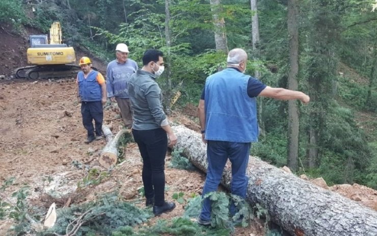 Kaymakam Erdem Yenice Ormanlarını gezdi
