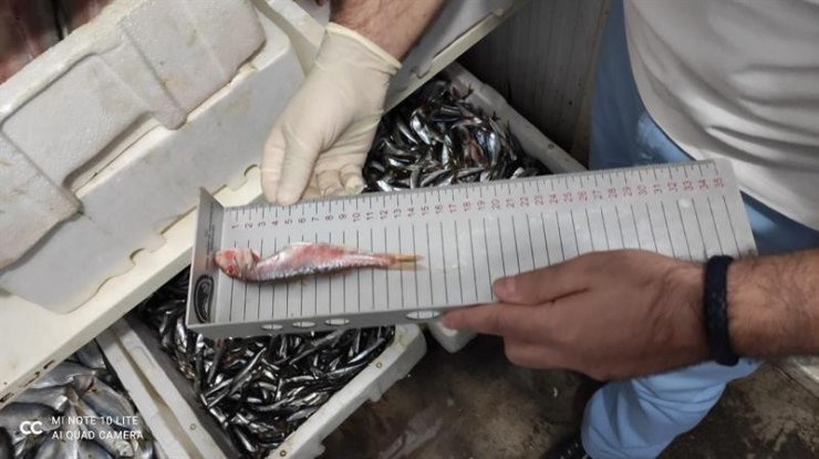 Su ürünleri satanlara sıkı takip