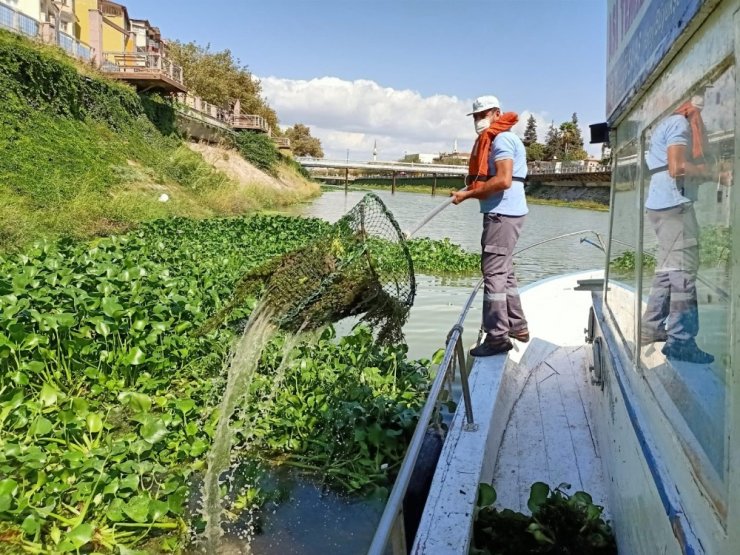 Su canavarları bariyerle önlenecek