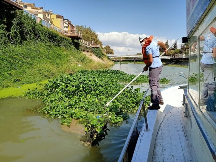 Su canavarları bariyerle önlenecek