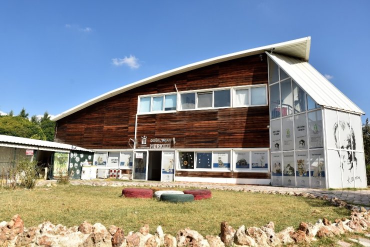 Başkan Ataç’tan hayvan hakları mesajı