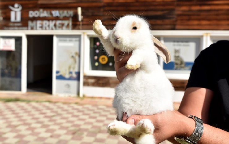 Başkan Ataç’tan hayvan hakları mesajı