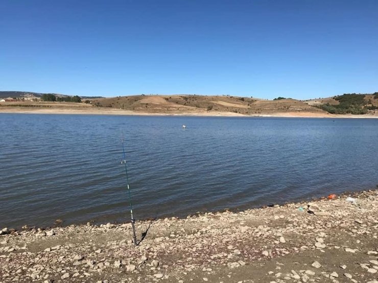 Sürüden ayrılan koyun baraj suyunda mahsur kaldı