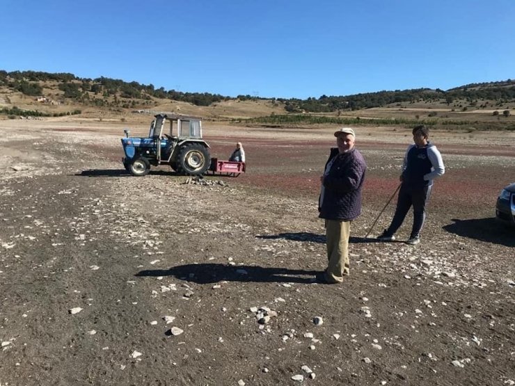 Sürüden ayrılan koyun baraj suyunda mahsur kaldı
