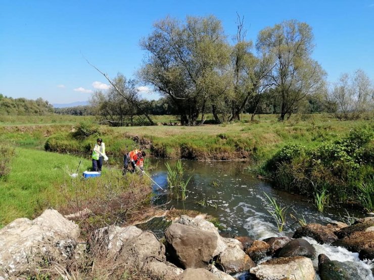 Efteni gölünü besleyen derelerden numune alındı