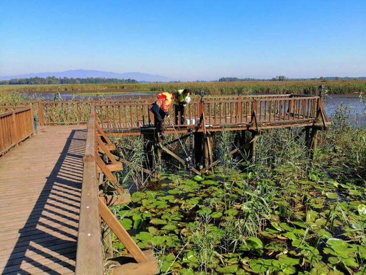 Efteni gölünü besleyen derelerden numune alındı