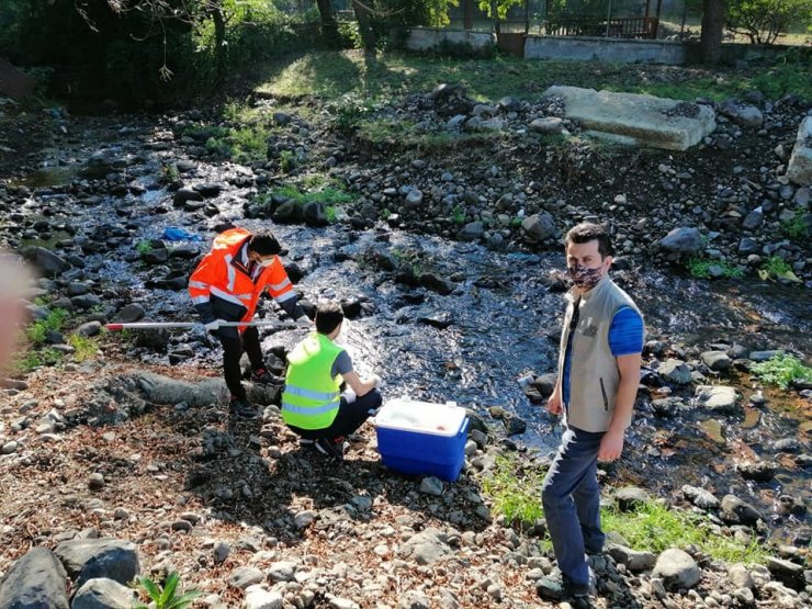 Efteni gölünü besleyen derelerden numune alındı