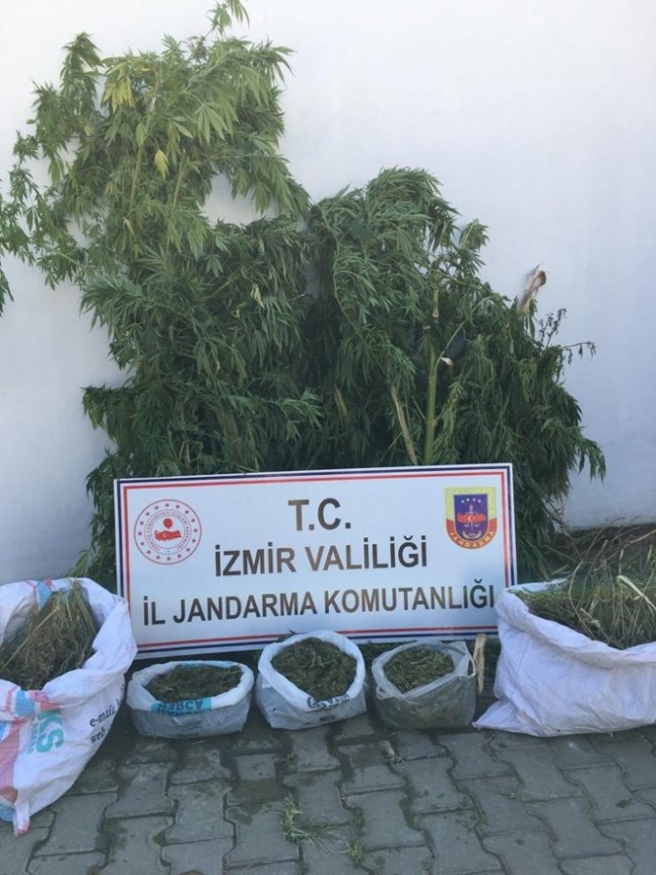 İzmir’de 8,5 kilogram uyuşturucu ele geçirildi