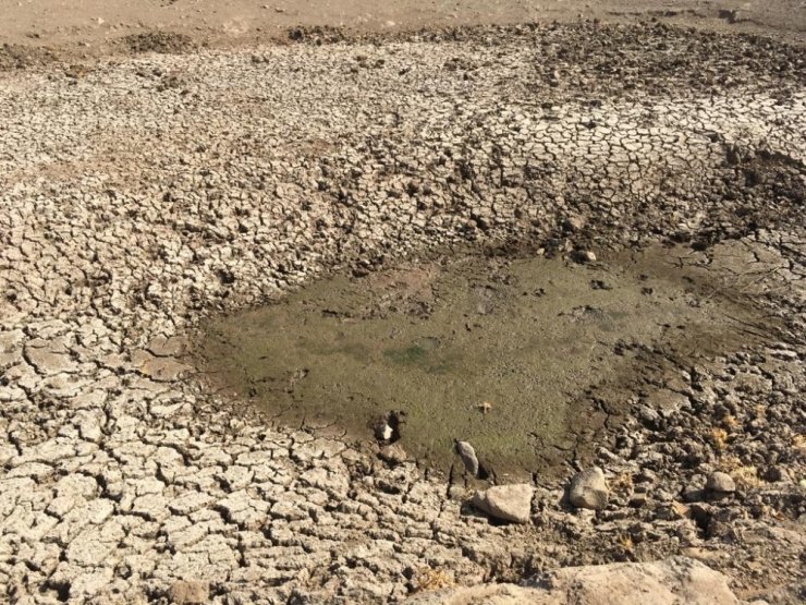Düzlen’deki göletler temizleniyor