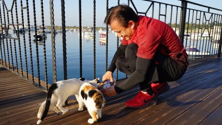 Tuzla’da kedilere tripleks kedi evleri