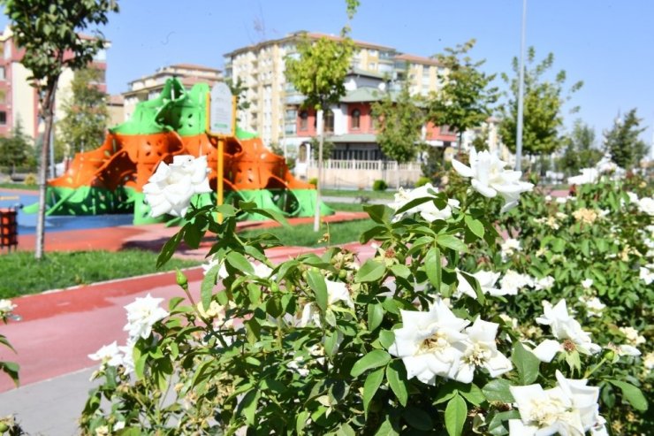 Yeşilyurt renklendi