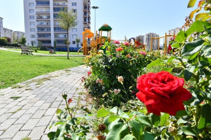 Yeşilyurt renklendi