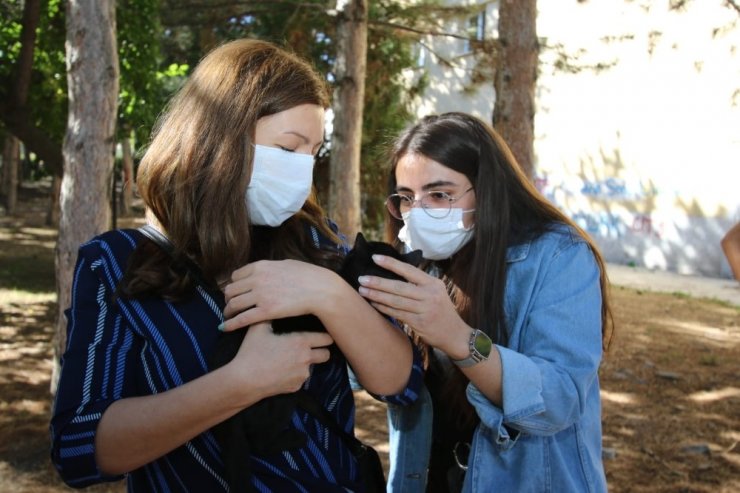 Hayvanları Koruma Günü’nde ‘Patili’ dostlar için yem bırakıldı