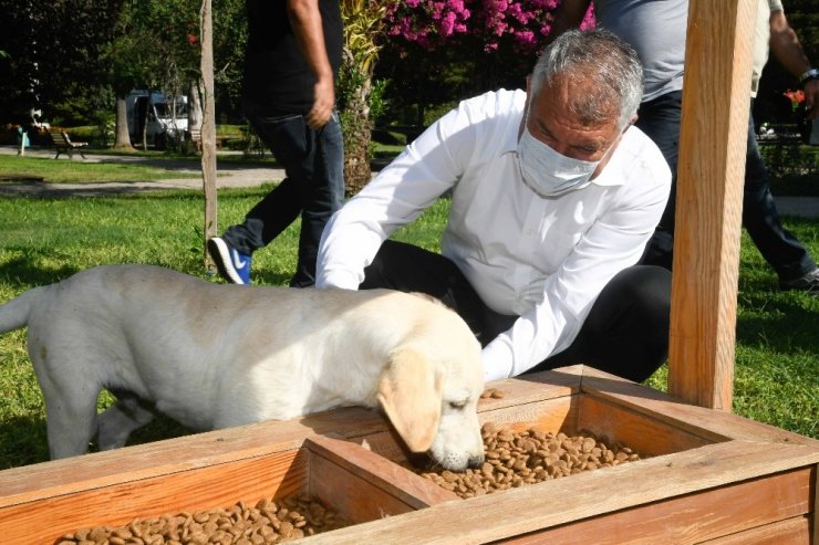 Adana’da parklara mamalık ve suluk yerleştirildi