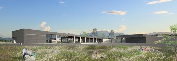 Sokak Hayvanları Acil Müdahale Ekibi 19 bin sokak hayvanını tedavi etti