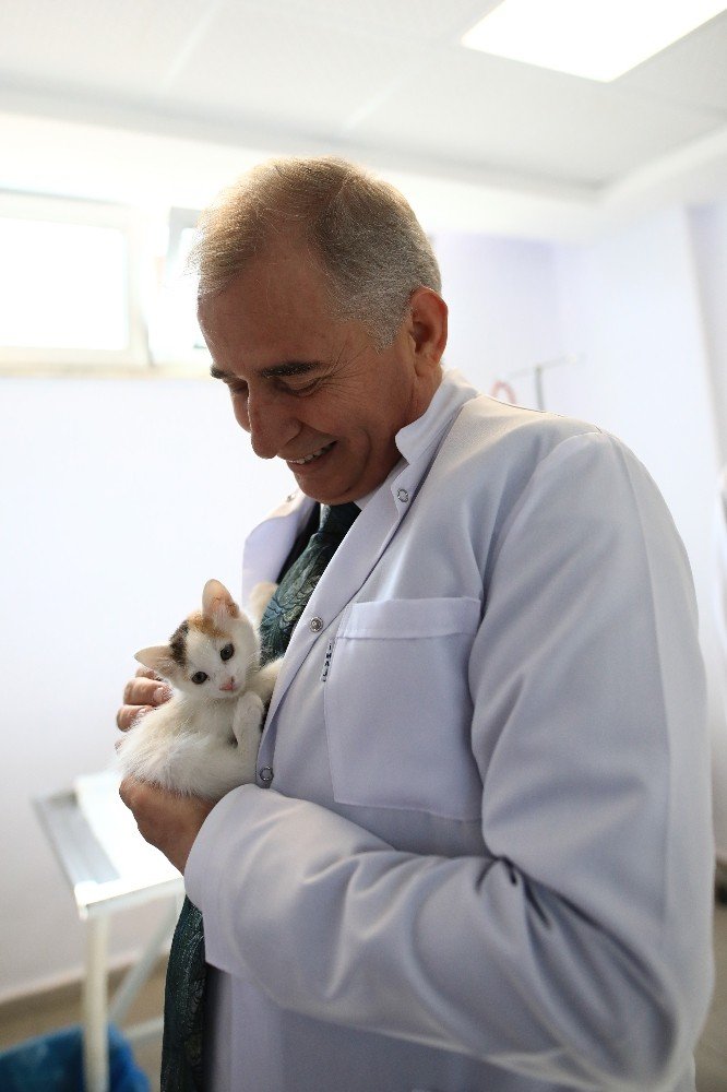 Can dostlar Büyükşehire emanet