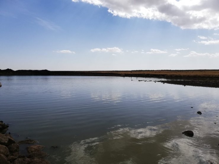 Diyarbakır’da Sağkulak Göleti 7 günde tamamlanacak