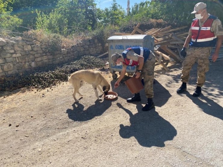 Elazığ’da jandarmadan 4 Ekim Hayvanları Koruma Günü etkinliği