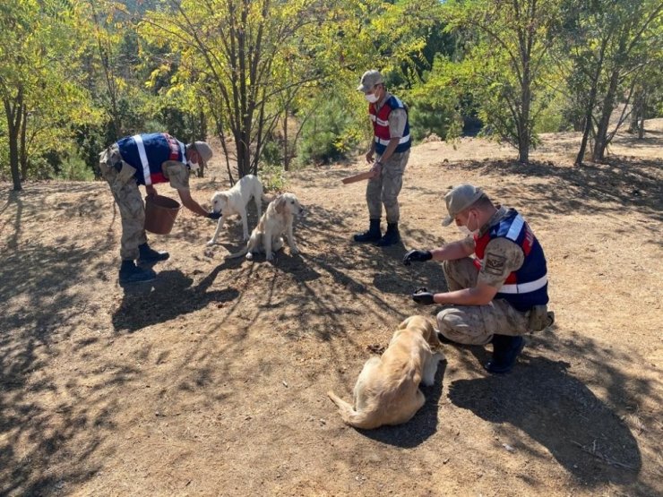 Elazığ’da jandarmadan 4 Ekim Hayvanları Koruma Günü etkinliği