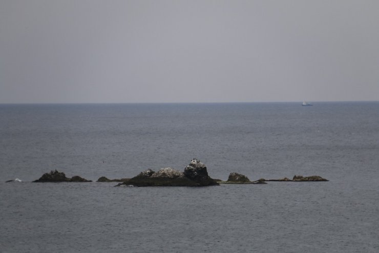 İstanbul’un ıssız adası