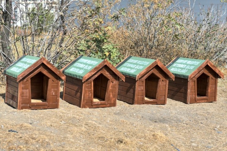 Esenyurt Belediyesi hayvan dostlarını unutmadı