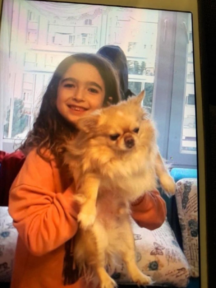 GKV’den 4 Ekim hayvanları ve canlıları koruma günü mesajı