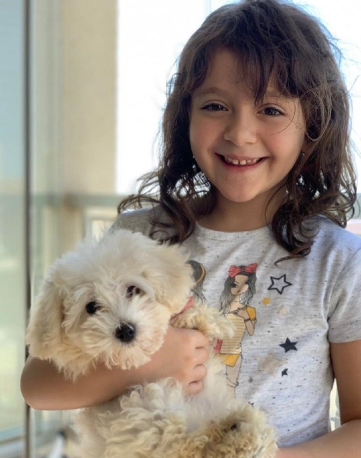 GKV’den 4 Ekim hayvanları ve canlıları koruma günü mesajı