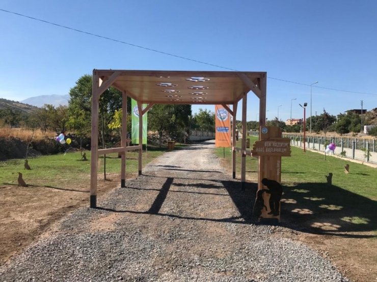 Patiköylü belediyeden hayvanlar için ‘Patiyol’