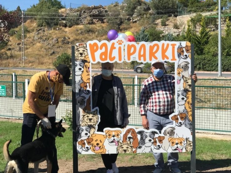 Patiköylü belediyeden hayvanlar için ‘Patiyol’