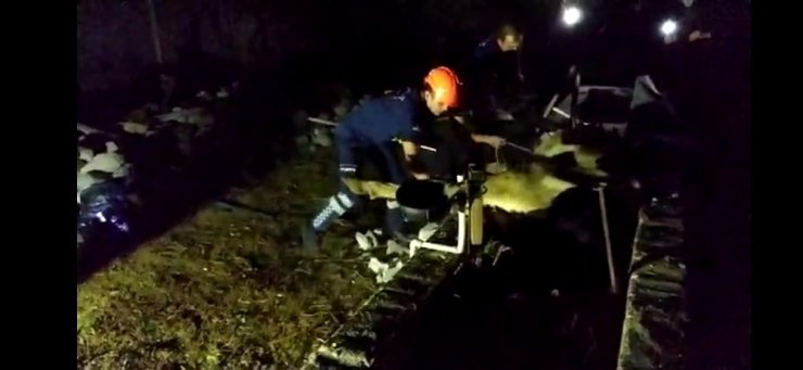 Kanala düşen ineği itfaiye kurtardı
