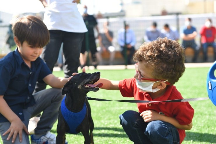 Hayvanları Koruma Günü’nde Pendik’te Neşeli Patiler Köpek Eğitim Parkı açıldı