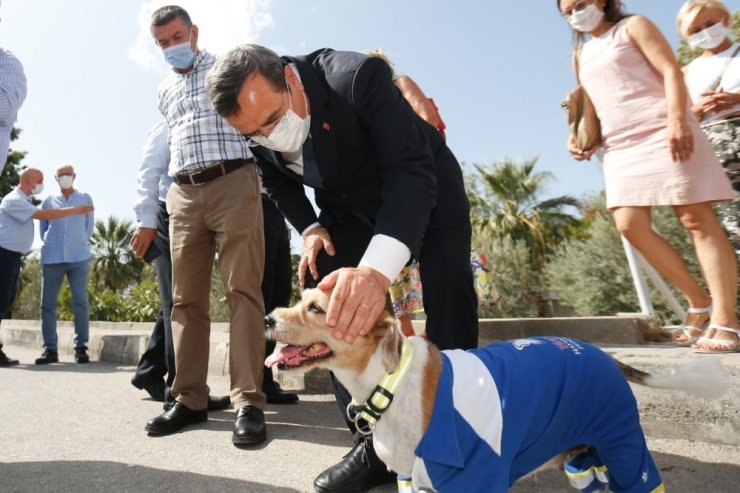Konak’ta sokak hayvanları için anlamlı farkındalık
