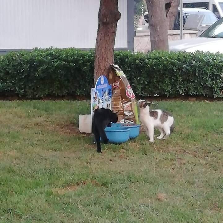 Manisa İl Müftlüğünden "Onlar Bize Emanet" projesi