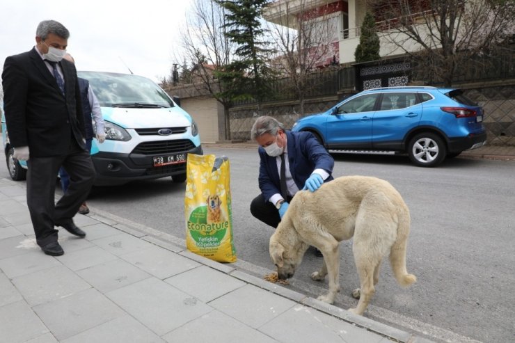 Geri dönüşüm atıkları Melikgazi’nin ellerinde yeniden hayat buluyor