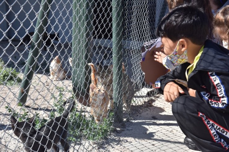 Minikler barınakta hayvanlarla bir gün geçirdi