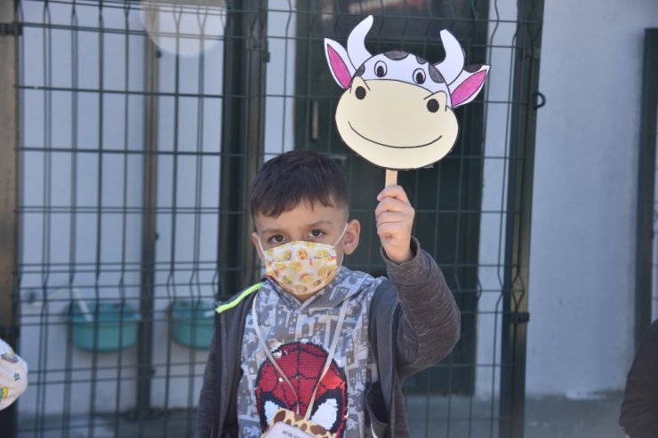 Minikler barınakta hayvanlarla bir gün geçirdi