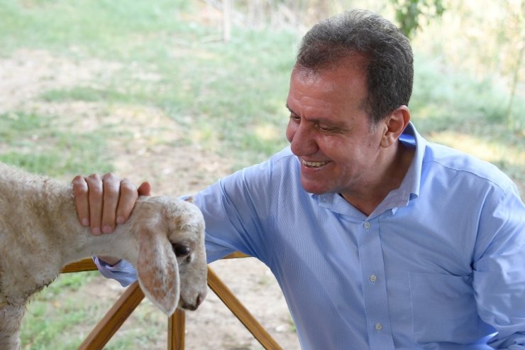 Sevimli kuzu Tarsus Doğa Parkı’nın maskotu oldu