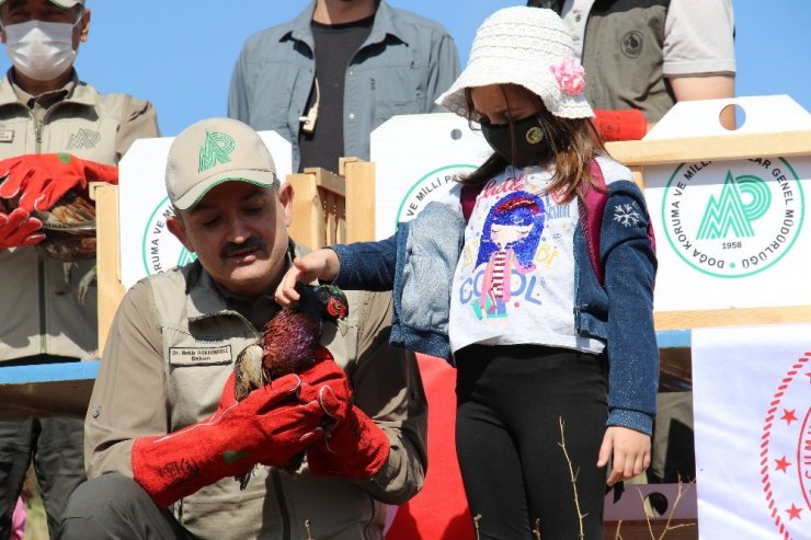 Bakan Pakdemirli Hayvanları Koruma Günü’nde yaban hayvanlarını doğa ile buluşturdu