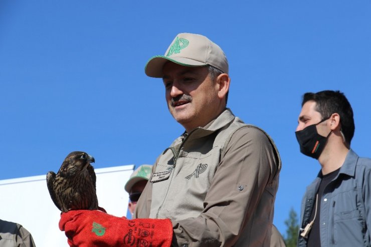 Bakan Pakdemirli Hayvanları Koruma Günü’nde yaban hayvanlarını doğa ile buluşturdu