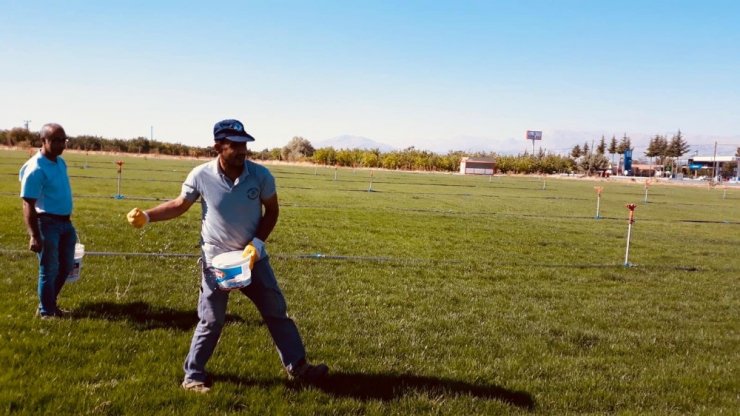 Yeşilyurt Belediyesi çimi kendi tesislerinde üretiyor