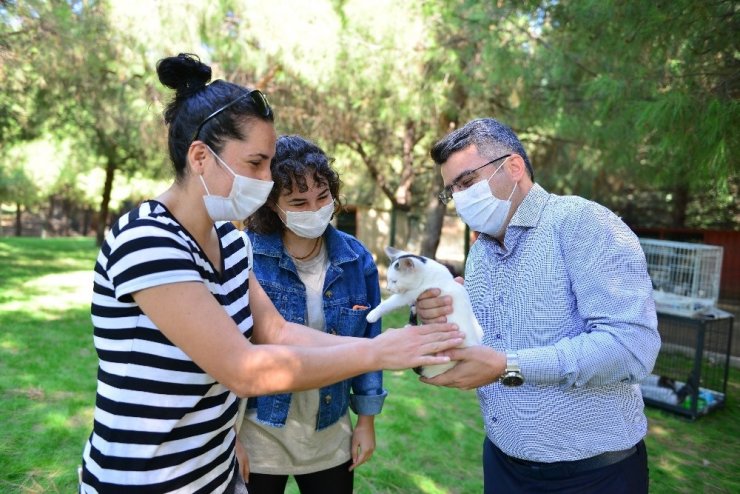 Başkan Yılmaz, ‘can dostları’ sahiplendirdi