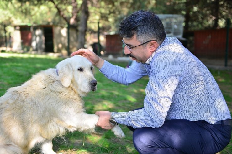 Başkan Yılmaz, ‘can dostları’ sahiplendirdi