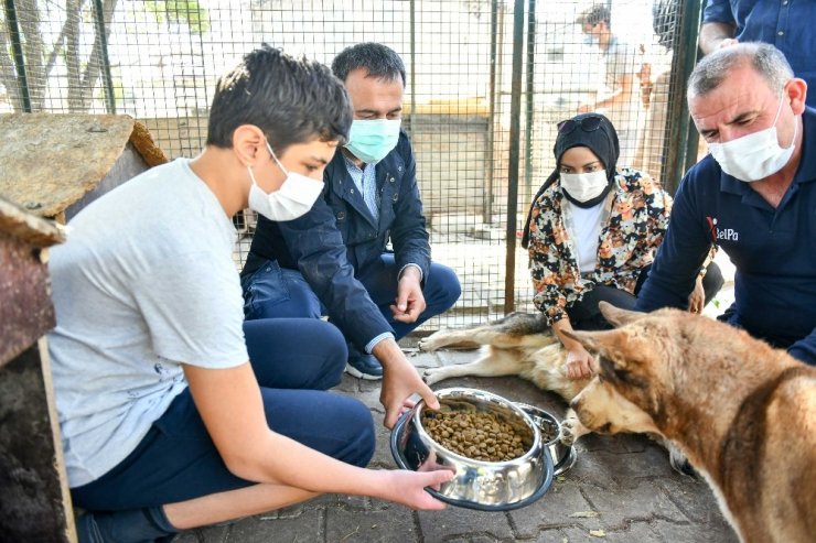 Başkent’te can dostların günü kutlandı