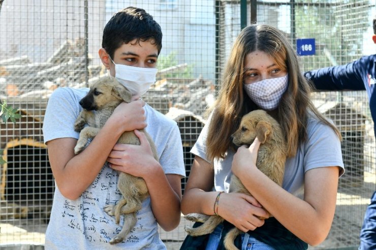 Başkent’te can dostların günü kutlandı