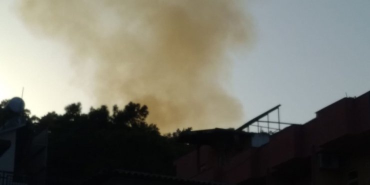 Antalya’da orman yangını