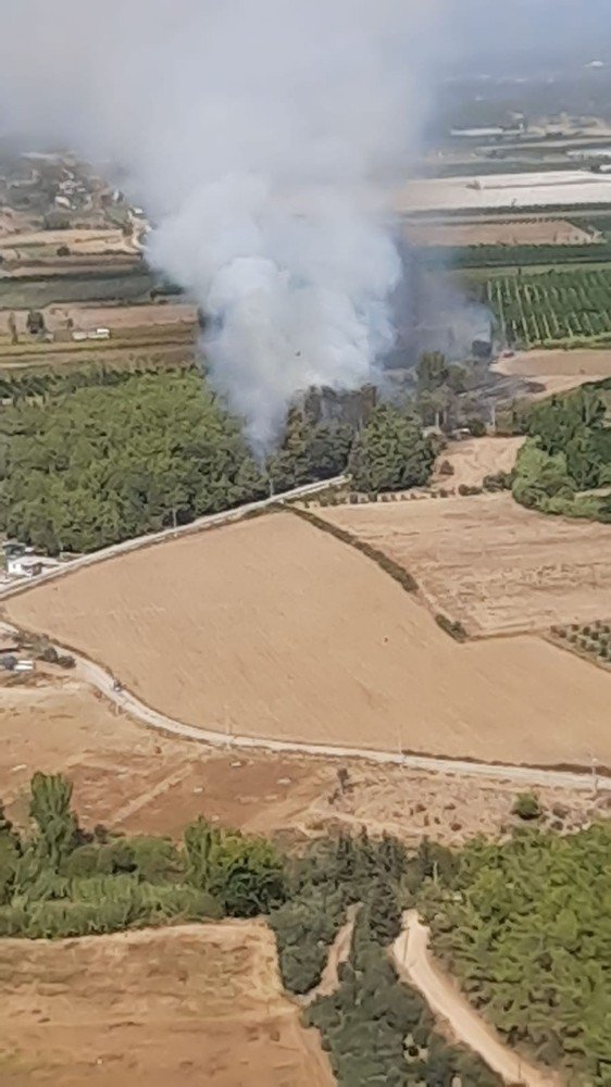 Manavgat’ta orman yangını
