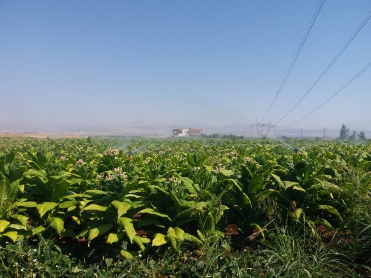 Samsat’ta araziler sulanıyor